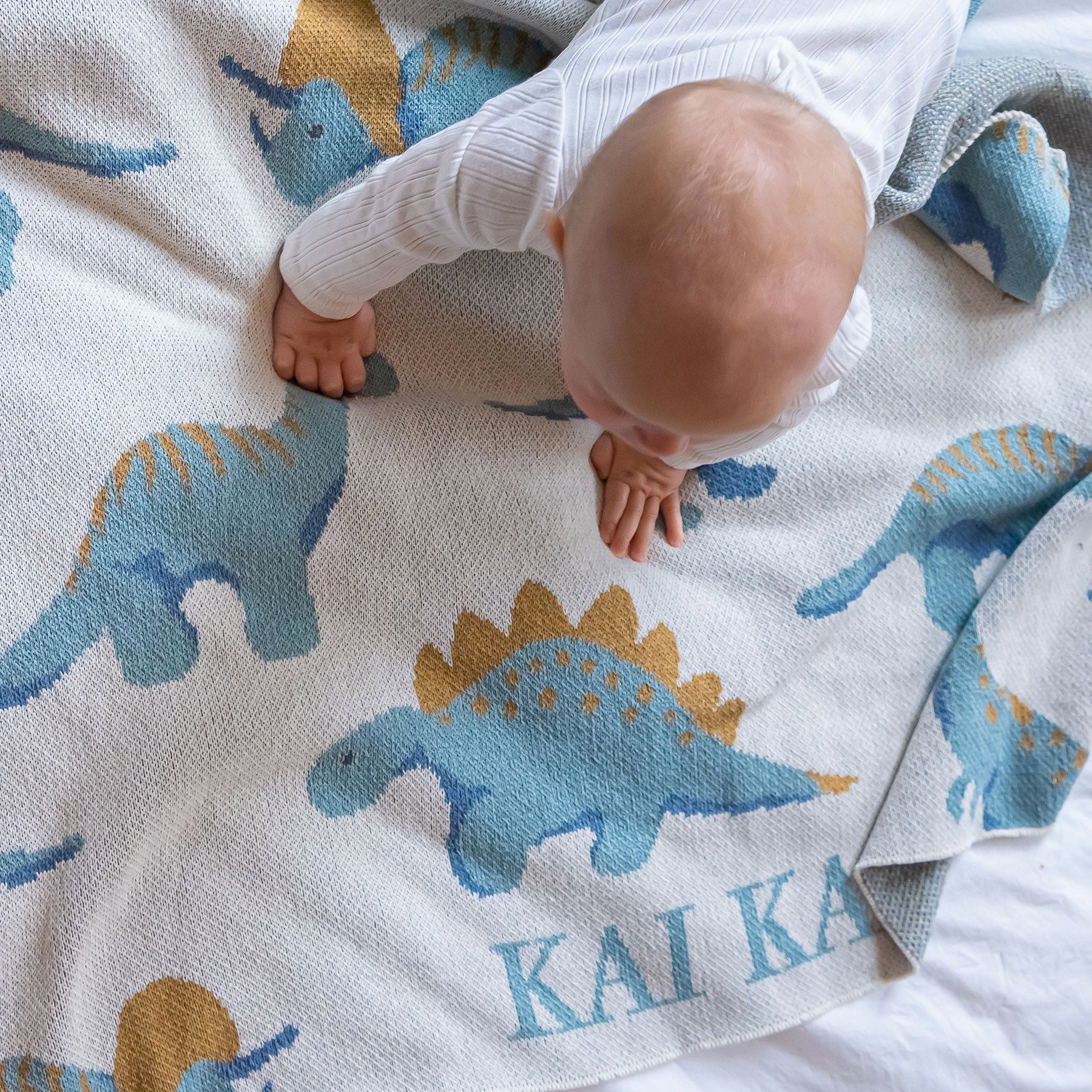 Personalized Dinosaur Blanket Sustainable In2Green