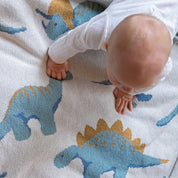 Baby Dinosaur Blanket BB02DN1