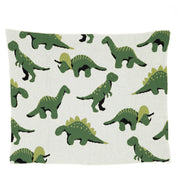 Baby Dinosaur Blanket BB02DN3